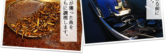 漁師さんが獲った魚を新鮮なうちに調理します。
