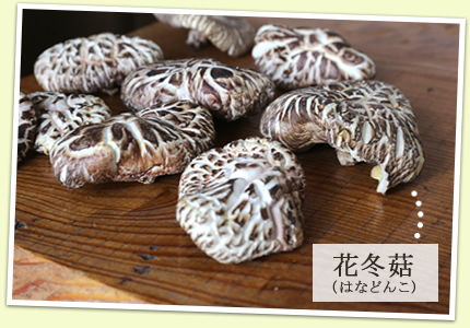 花冬菇